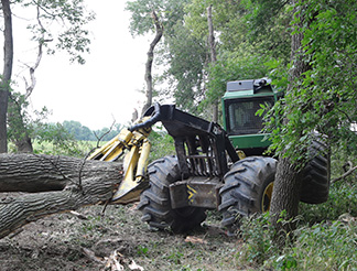 Skidder wheelie
